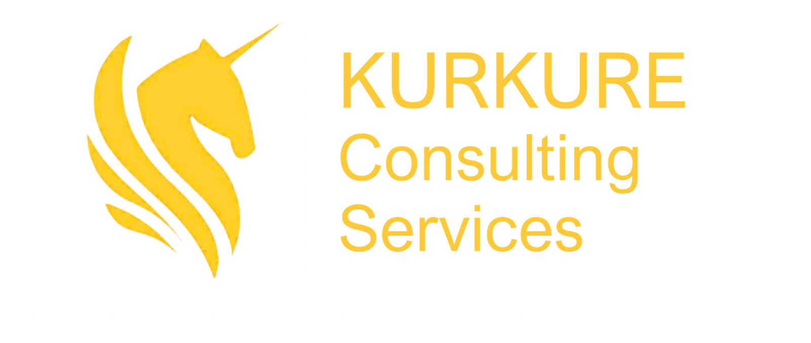 Kurkure Consulting